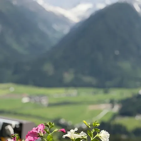 Hotel Alpengasthof Rechtegg Neukirchen am Großvenediger